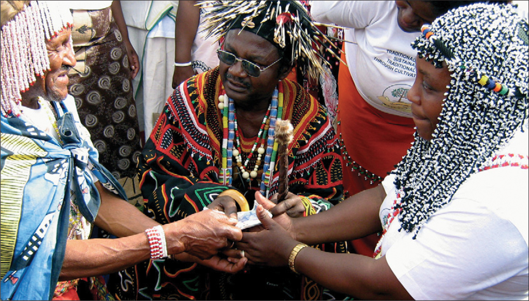 Types Of Traditional Healers In South Africa