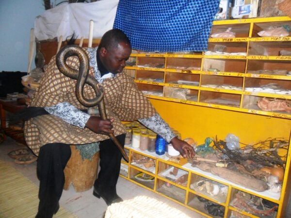 what-are-traditional-healers-in-zimbabwe