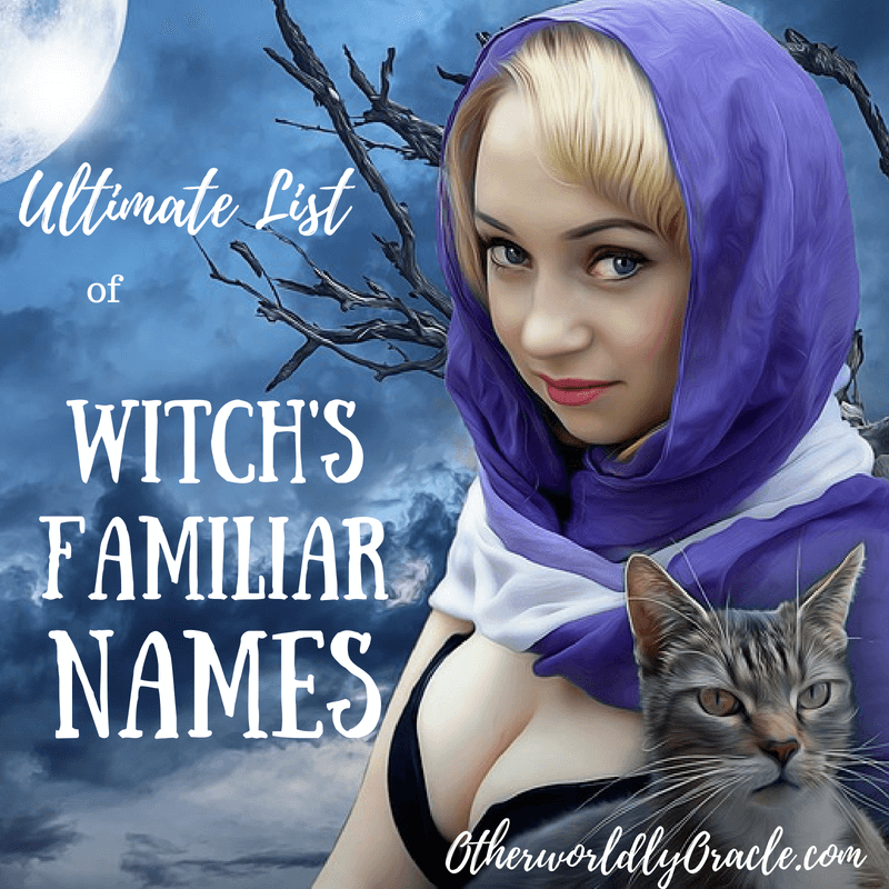 Finding And Naming Your Familiar Spell