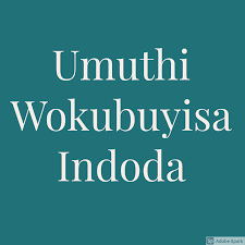 Ngifuna ukubuyisa indoda