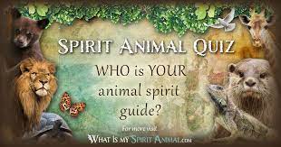 how to find your spirit animal