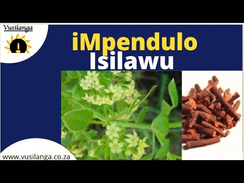 Impendulo Isiwasho